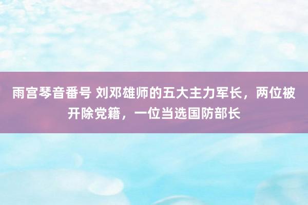 雨宫琴音番号 刘邓雄师的五大主力军长，两位被开除党籍，一位当选国防部长