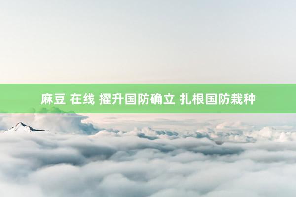 麻豆 在线 擢升国防确立 扎根国防栽种