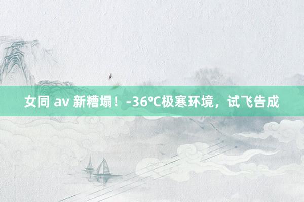 女同 av 新糟塌！-36℃极寒环境，试飞告成