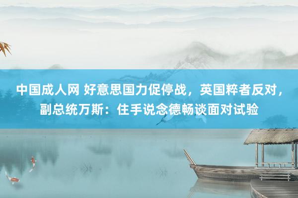 中国成人网 好意思国力促停战，英国粹者反对，副总统万斯：住手说念德畅谈面对试验