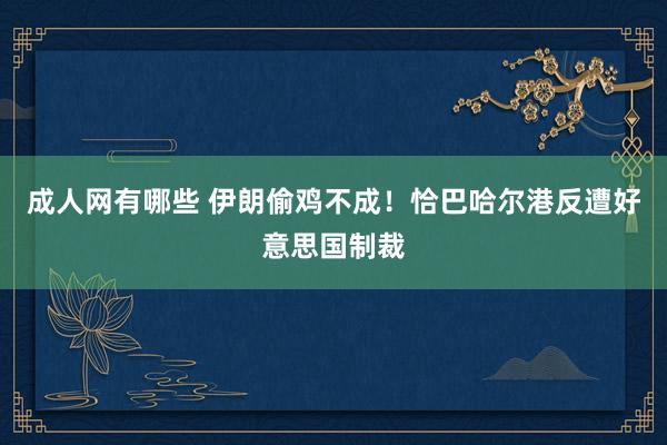 成人网有哪些 伊朗偷鸡不成！恰巴哈尔港反遭好意思国制裁