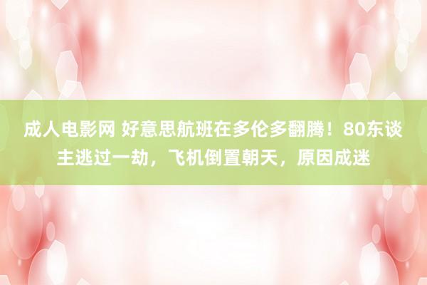 成人电影网 好意思航班在多伦多翻腾！80东谈主逃过一劫，飞机倒置朝天，原因成迷
