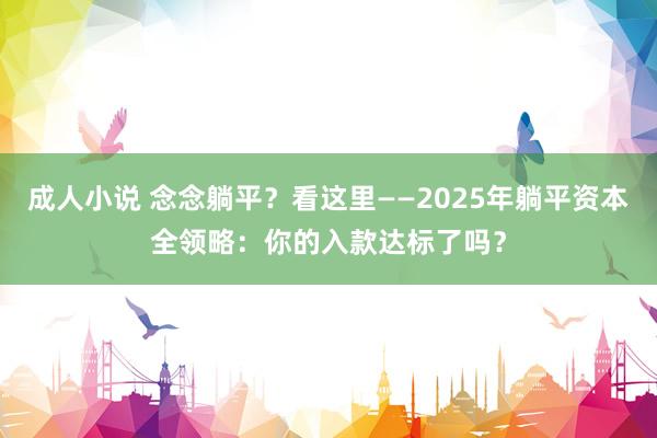 成人小说 念念躺平？看这里——2025年躺平资本全领略：你的入款达标了吗？