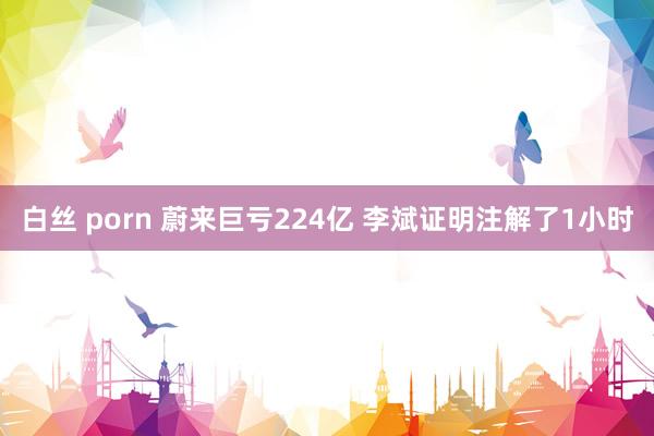 白丝 porn 蔚来巨亏224亿 李斌证明注解了1小时