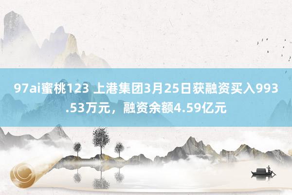 97ai蜜桃123 上港集团3月25日获融资买入993.53万元，融资余额4.59亿元