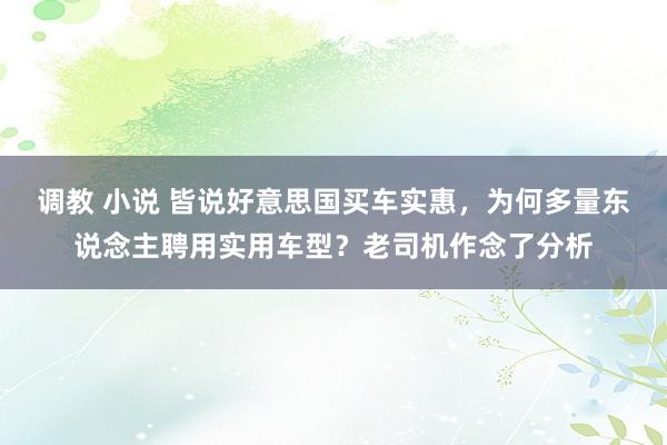 调教 小说 皆说好意思国买车实惠，为何多量东说念主聘用实用车型？老司机作念了分析