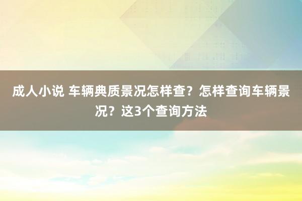 成人小说 车辆典质景况怎样查？怎样查询车辆景况？这3个查询方法