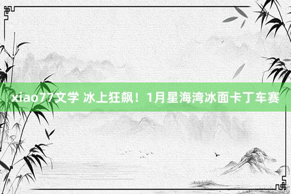 xiao77文学 冰上狂飙！1月星海湾冰面卡丁车赛