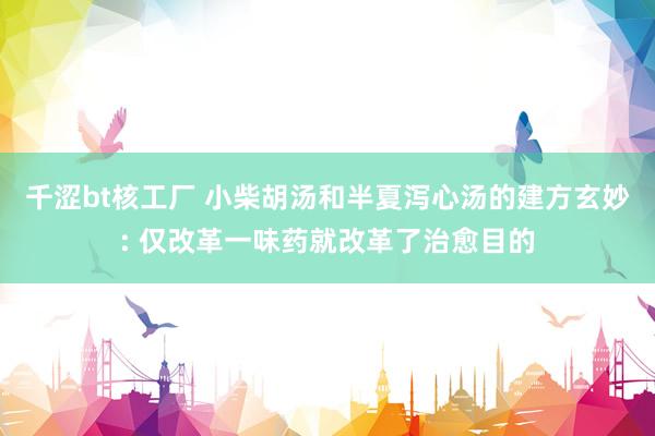 千涩bt核工厂 小柴胡汤和半夏泻心汤的建方玄妙: 仅改革一味药就改革了治愈目的