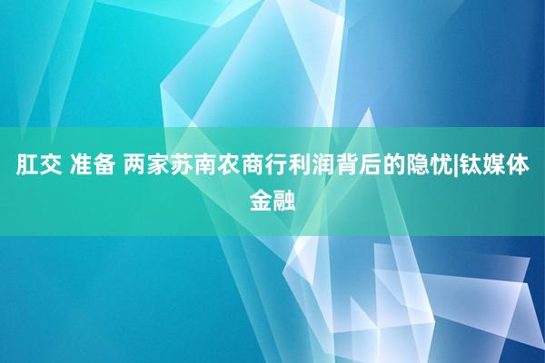 肛交 准备 两家苏南农商行利润背后的隐忧|钛媒体金融