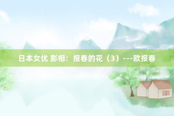 日本女优 影相：报春的花（3）---欧报春