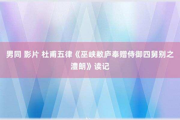 男同 影片 杜甫五律《巫峡敝庐奉赠侍御四舅别之澧朗》读记