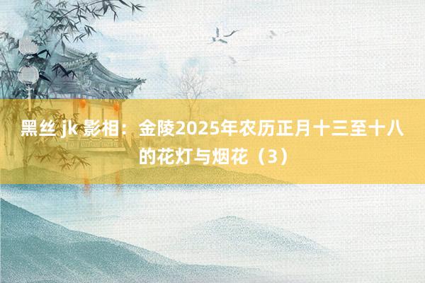 黑丝 jk 影相：金陵2025年农历正月十三至十八的花灯与烟花（3）