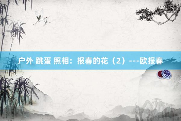 户外 跳蛋 照相：报春的花（2）---欧报春