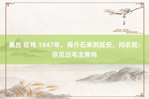 黑丝 在线 1947年，蒋介石来到延安，问农民：你见过毛主席吗