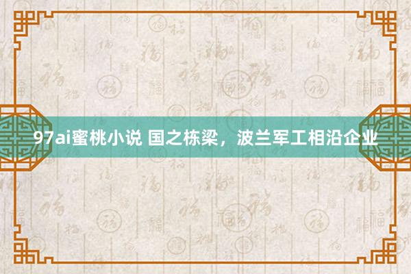 97ai蜜桃小说 国之栋梁，波兰军工相沿企业