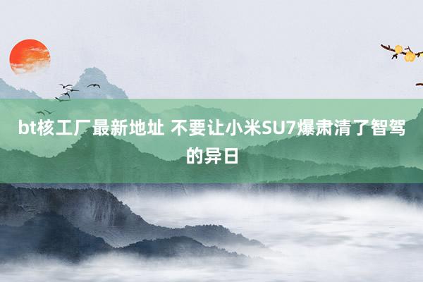 bt核工厂最新地址 不要让小米SU7爆肃清了智驾的异日