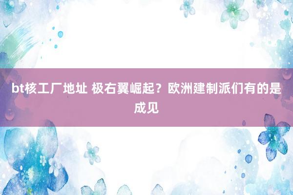 bt核工厂地址 极右翼崛起？欧洲建制派们有的是成见