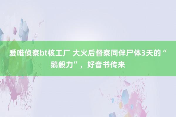 爰唯侦察bt核工厂 大火后督察同伴尸体3天的“鹅毅力”，好音书传来