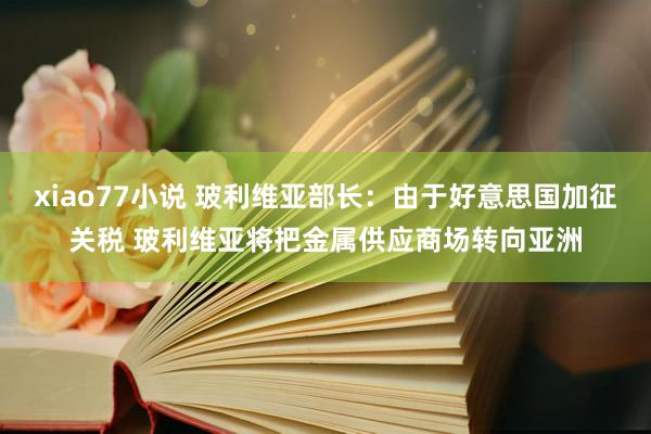 xiao77小说 玻利维亚部长：由于好意思国加征关税 玻利维亚将把金属供应商场转向亚洲