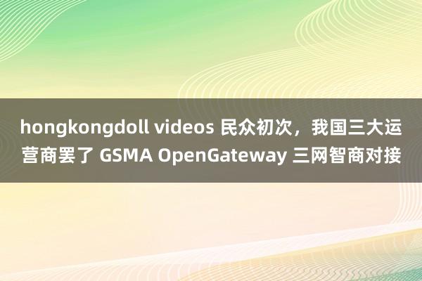 hongkongdoll videos 民众初次，我国三大运营商罢了 GSMA OpenGateway 三网智商对接