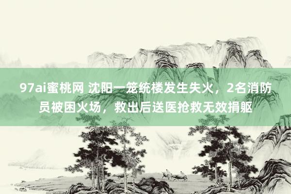 97ai蜜桃网 沈阳一笼统楼发生失火，2名消防员被困火场，救出后送医抢救无效捐躯
